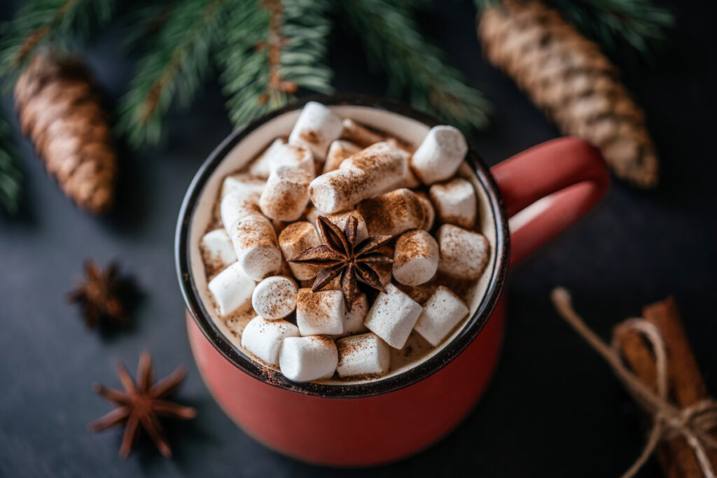 Red mug of hot chocolate topped with marshmallows, cinnamon and star anise, surrounded by festive greenery.